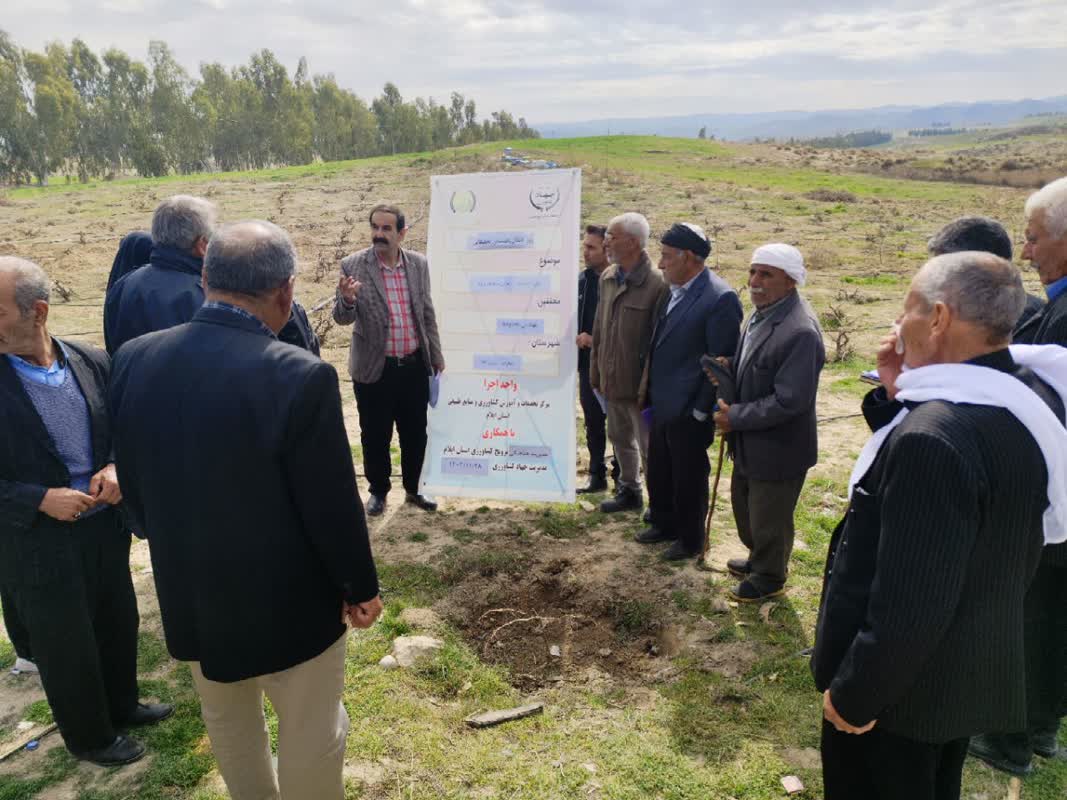 انتقال بخشوده.jpg